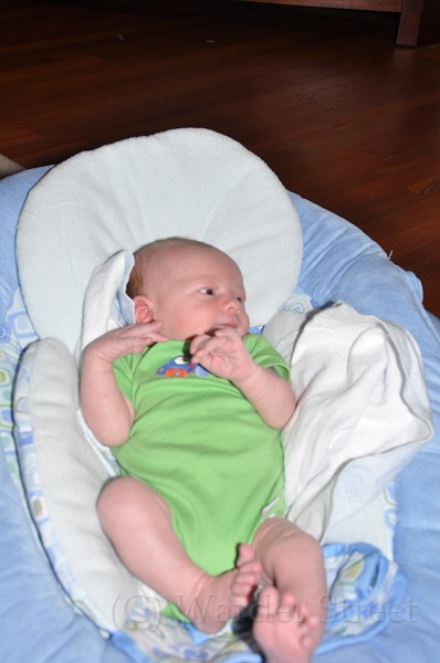 William's Second Week 36.jpg